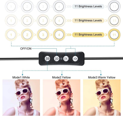 Anillo de Luz Led Regulable de 6 Pulgadas MACTREM