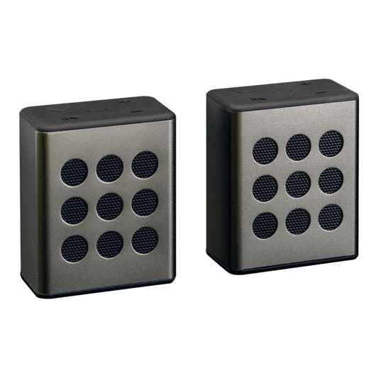 Altavoces Portátiles Inalámbricos Lenco BTP-200BK